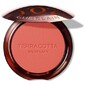 Terracotta Blush